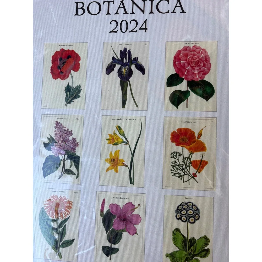 Cavallini & Co Wall Calendar 2024 Botanica Vintage Floral Art Prints New Sealed